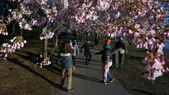 Spring is here: What the vernal equinox means