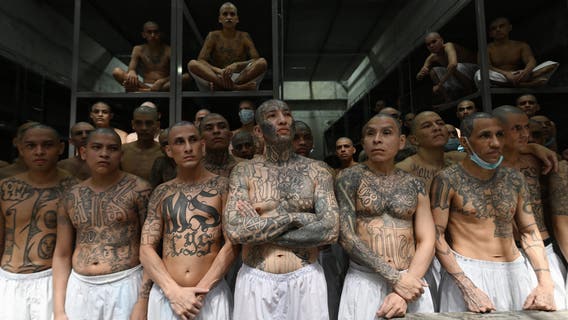 What is MS-13? Gang's top leader arrested in Virginia, feds say