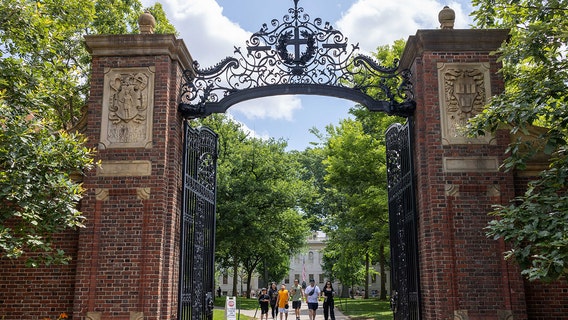 Harvard is no longer the dream school; here’s what is