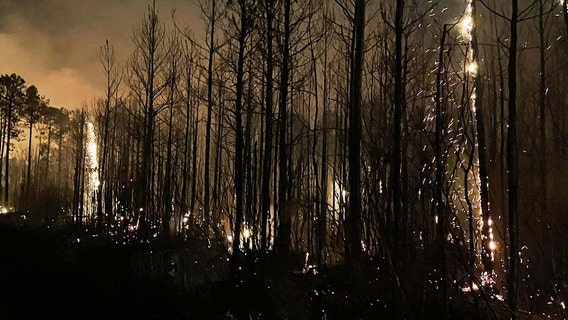 Myrtle Beach woman ignited South Carolina wildfire that scorched 2K acres, authorities say