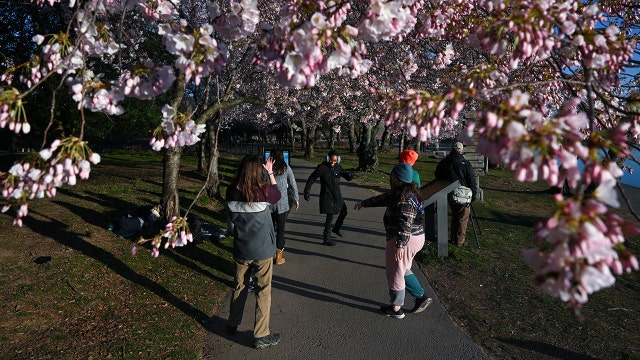 Spring is here: What the vernal equinox means