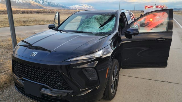 Turkey crashes through windshield on Utah highway, injuring driver