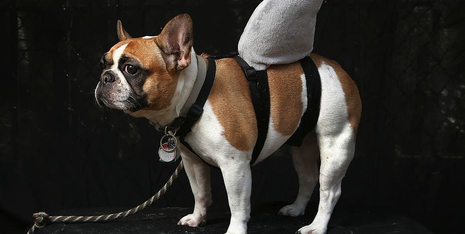 gettyimages-154478000.jpg?ve=1