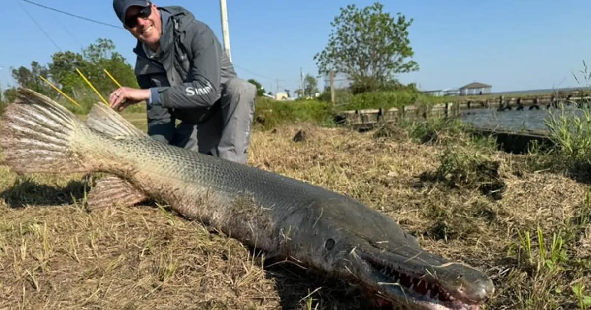 Angler lands likely world record 7-foot beast from Texas lake in