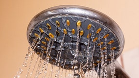 Trump aims to 'make America's showers great again' with order targeting water flow