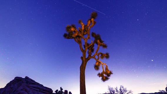 Lyrid meteor shower peaks overnight Monday. How to spot April's top celestial event