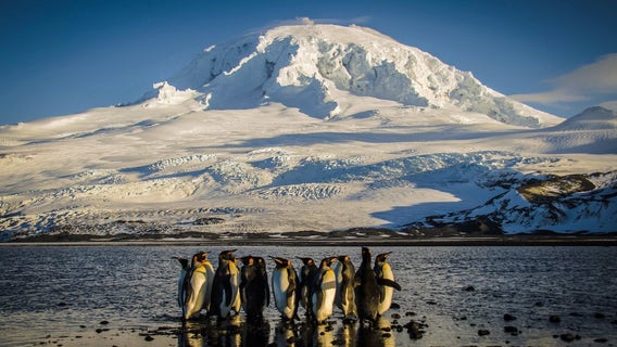 Trump tariffs target remote, uninhabited islands with no U.S. trade