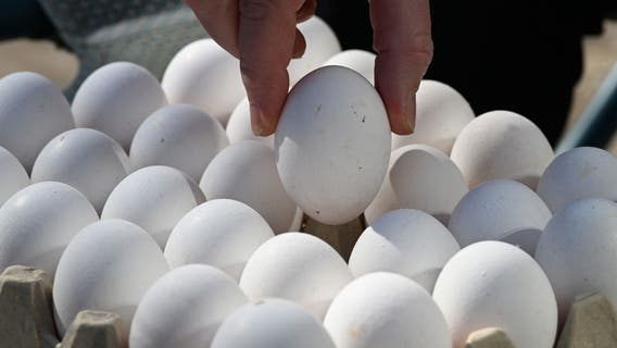 A third of Americans stopped buying eggs; won't revert back until prices drop