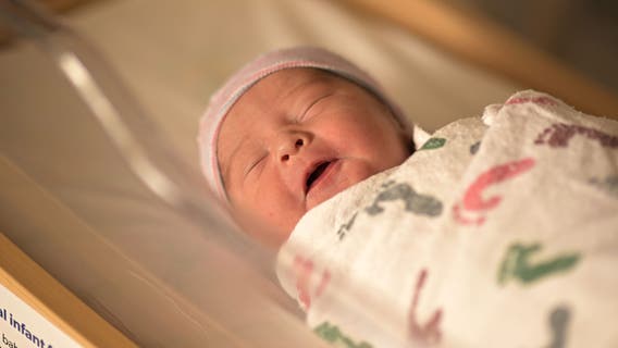 Trump reportedly ponders $5K baby bonus as US fertility rate remains near record low