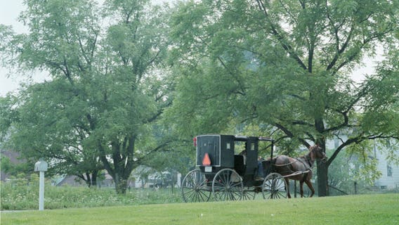 3 kids killed in Amish buggy crash while on their way to school