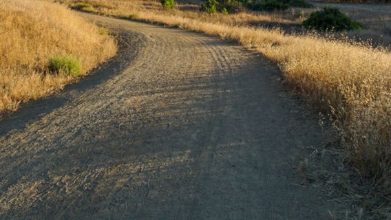 Toddler finds 3,800-year-old artifact while hiking with family