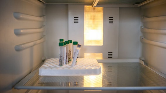 Teens invent refrigerator that doesn't need electricity; aim to help rural communities