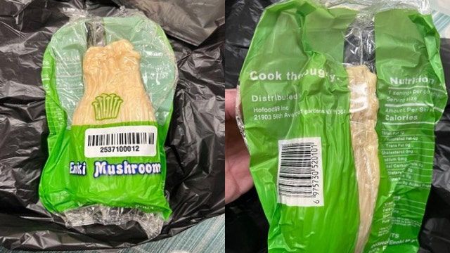 Mushrooms distributed nationwide recalled for listeria risk: What to know