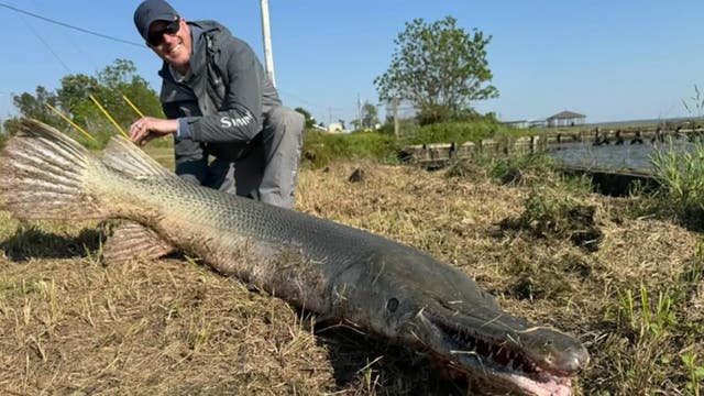 Angler lands likely world record 7-foot beast from Texas lake in life-challenging catch: 'True 1% likelihood'