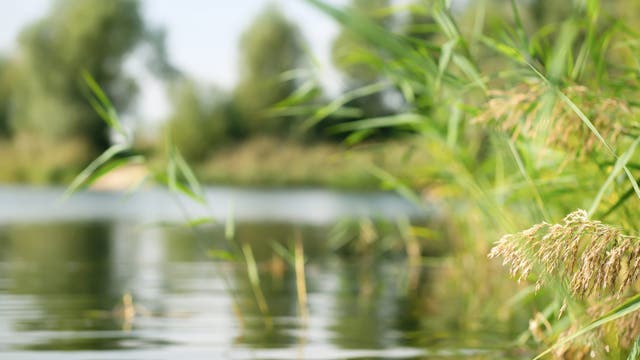 High school twin brothers drown during fishing outing at Mississippi lake