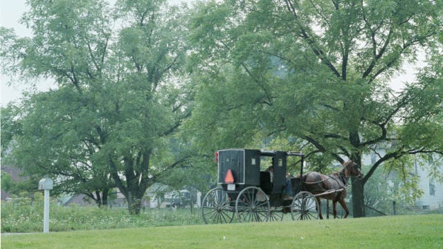 3 kids killed in Amish buggy crash while on their way to school