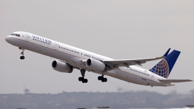 'Wildlife strike' forces United Airlines flight to make emergency landing, officials say