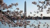 Outside for Memorial Day? These are the country's top cities for parks