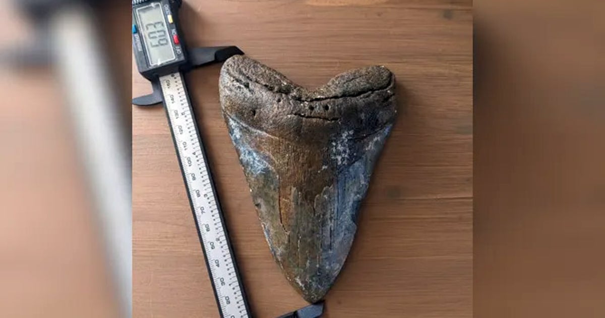 497989083_1056245036412262_626