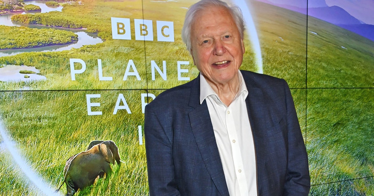 David Attenborough, turning 99, addresses nearing 'end of his life
