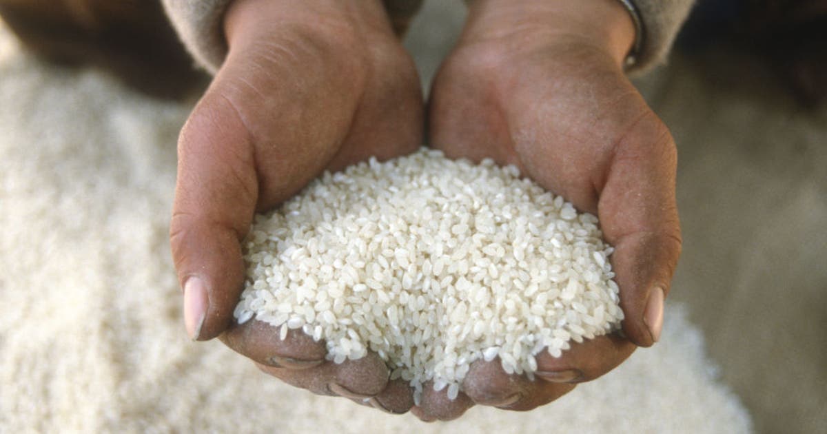 Dangerous levels of arsenic found in US rice: What families need to ...