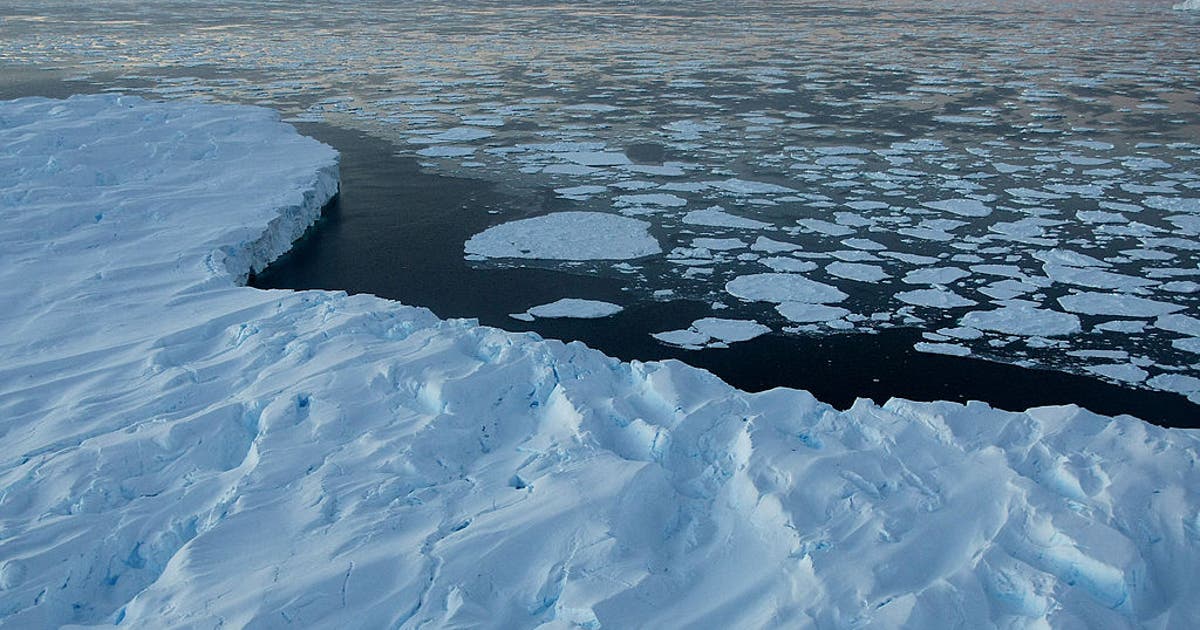 Antarctica gains ice for first time in decades, reversing trend of mass loss, study finds