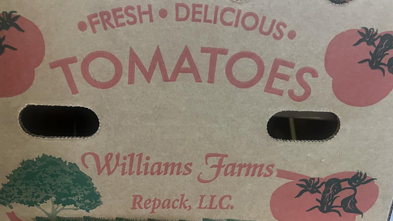 Tomatoes recalled in 14 states due to salmonella risk: What to