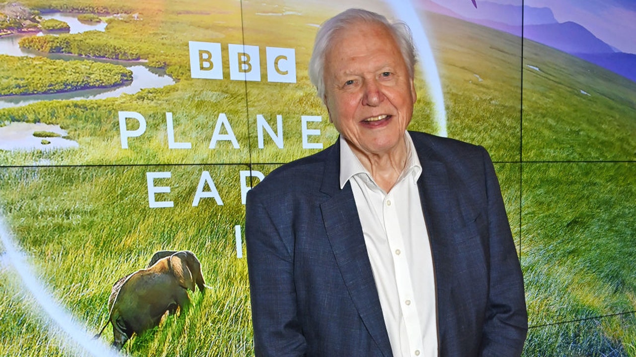 David Attenborough, turning 99, addresses nearing 'end of his life