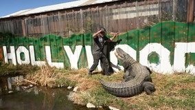 Alligator made famous in ‘Happy Gilmore’ dies at more than 80 years old