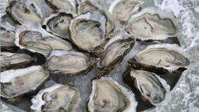 Oysters recalled for possible norovirus contamination