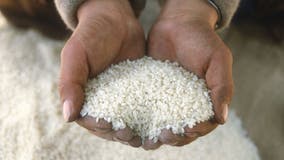 Dangerous levels of arsenic found in US rice: What families need to know now