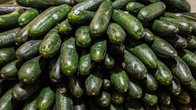 Salmonella update: Cruise ship outbreak linked to recalled cucumbers