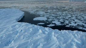Antarctica gains ice for first time in decades, reversing trend of mass loss, study finds