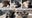 Denali's live sled dog cam is back with 5 adorable new puppies