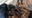 Five arrested, over a ton of cocaine worth $400M seized off Australia coast