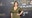 Bindi Irwin undergoes emergency surgery after pain scare