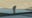 Snake pops out of car hood during Missouri mom’s drive