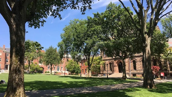 Ivy League student's DOGE-like email to analyze why tuition is so high lands him in hot water