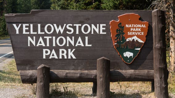 Drunk driving blamed in Yellowstone crash that killed tourists, pickup driver