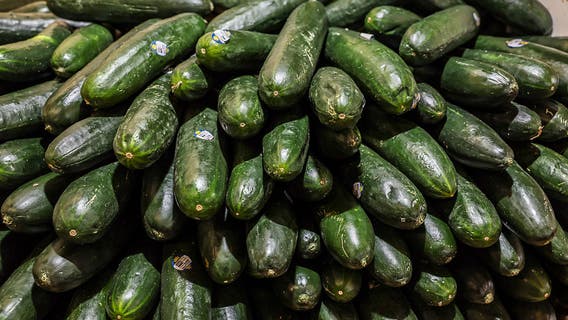 Salmonella update: Cruise ship outbreak linked to recalled cucumbers