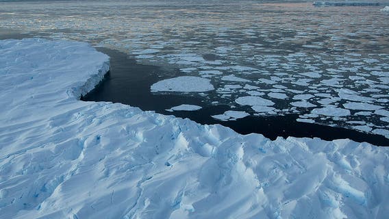 Antarctica gains ice for first time in decades, reversing trend of mass loss, study finds