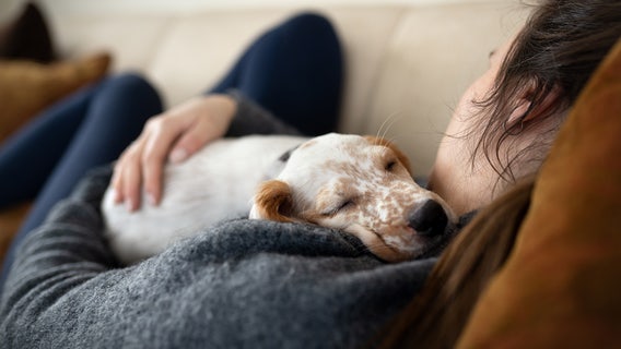 People prefer spending time with pets over loved ones when stressed, survey says