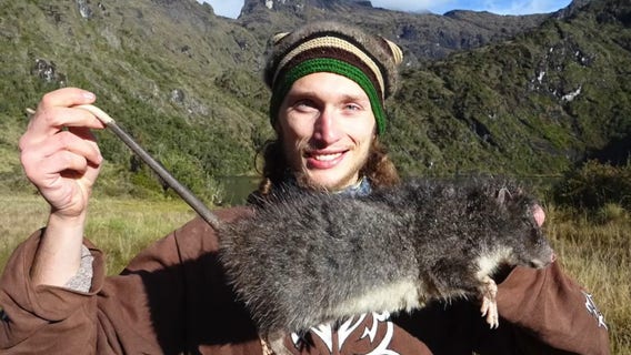 Giant rat species captured on video for 1st time in Papua New Guinea