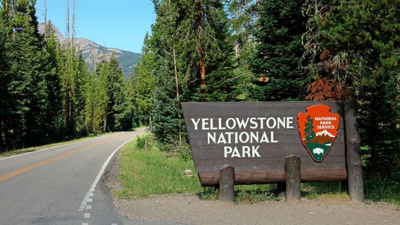 7 dead after tour van crash near Yellowstone