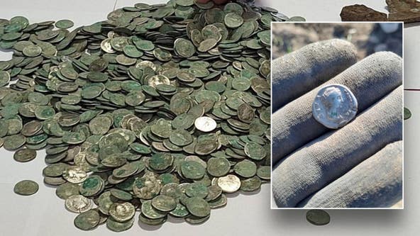Man stumbles across hoard of priceless coins while out for nature walk: 'Face to face with history'