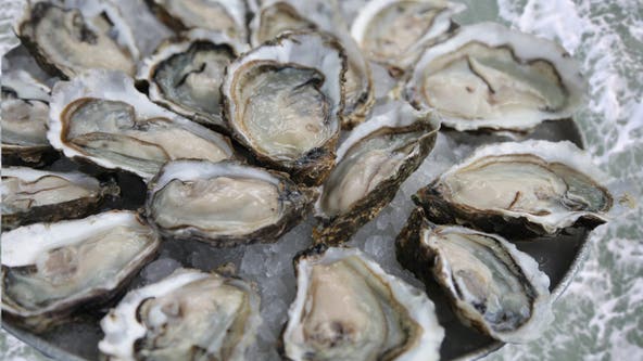 Oysters recalled for possible norovirus contamination