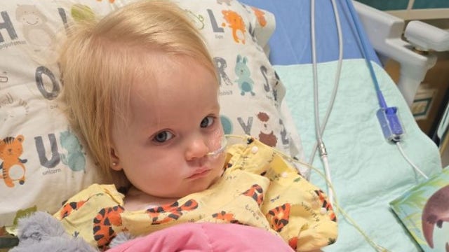 Arizona toddler recovering after two rattlesnake bites