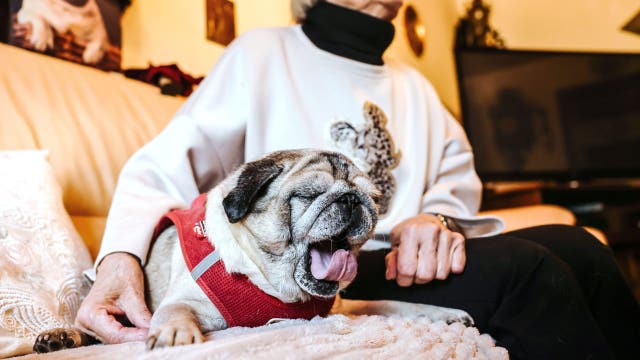 List: The most sleep-deprived U.S. cities, according to CDC data