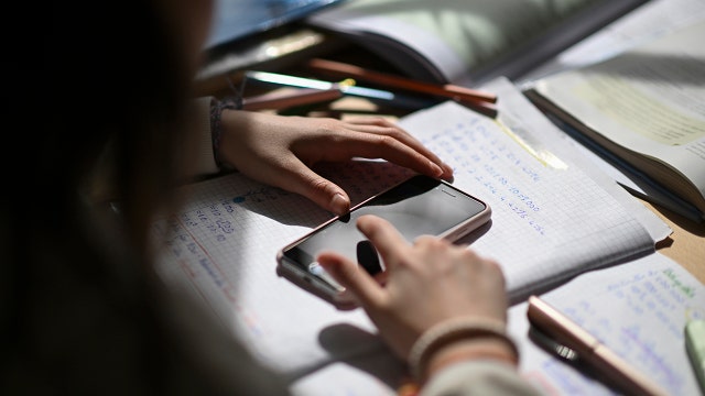 Teacher quits profession after viral rant on how AI is 'ruining' education