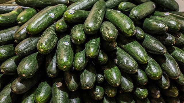 Salmonella update: Cruise ship outbreak linked to recalled cucumbers